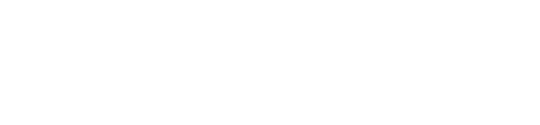 Divine Nails logo